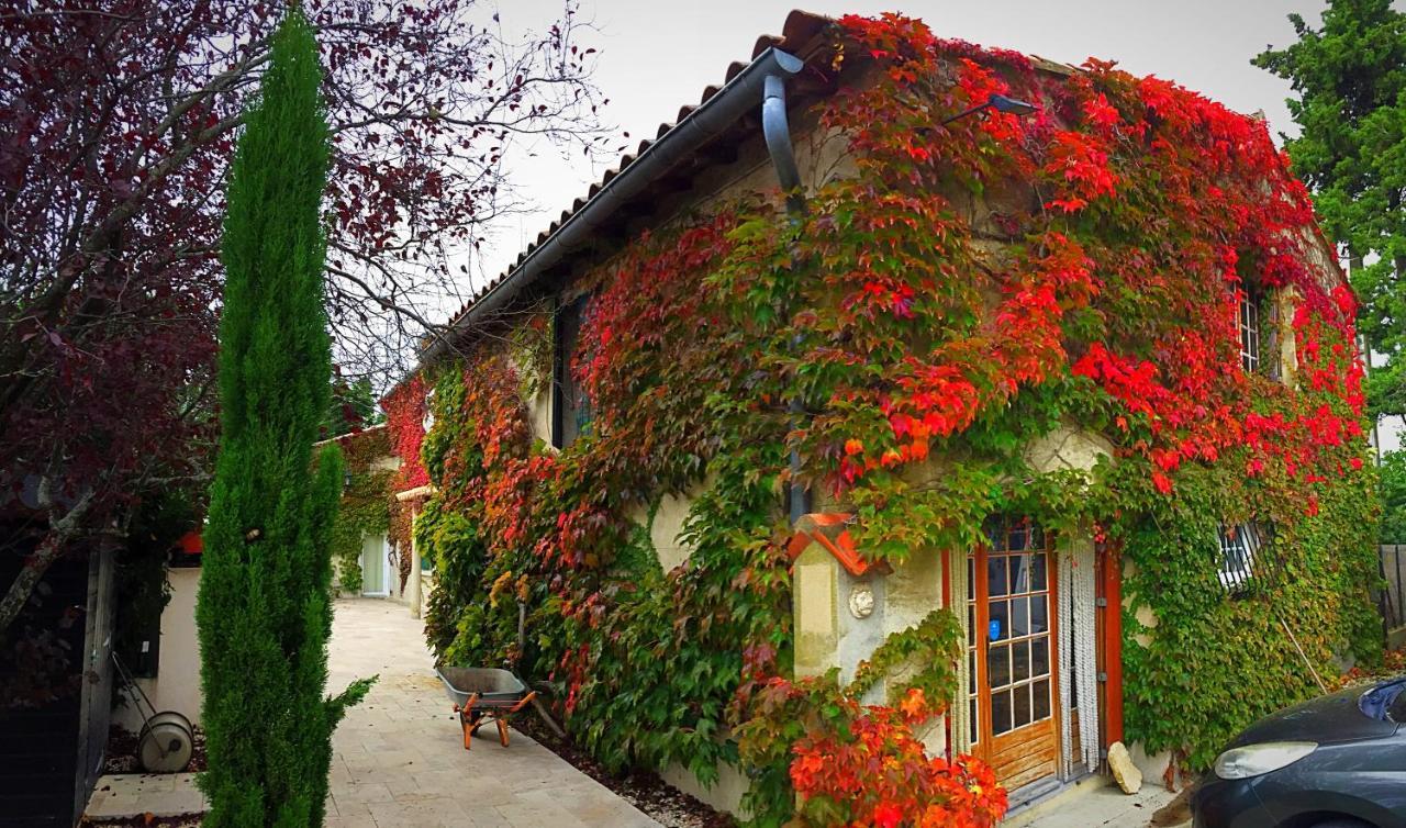Le Mas Des Abeilles - Chambres D'Hotes En Drome Provencale La Bégude-de-Mazenc Zewnętrze zdjęcie